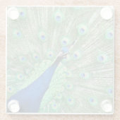 Untersetzer aus Glas - Pfau (Rückseite)