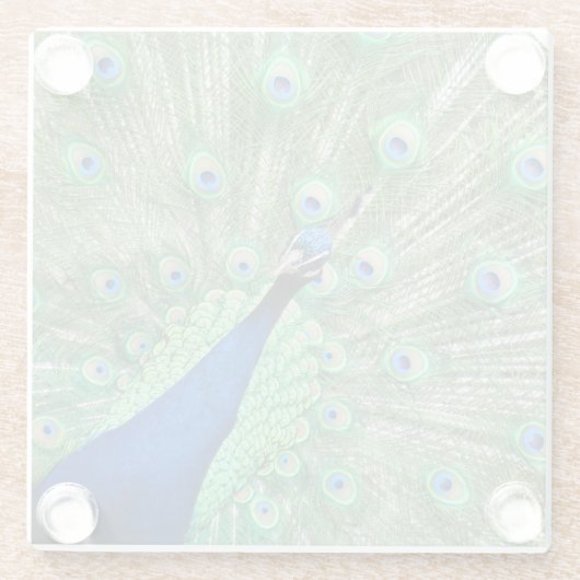 Untersetzer aus Glas - Pfau (Rückseite)