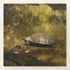 Untersetzer aus Glas - Schildkröte im Teich