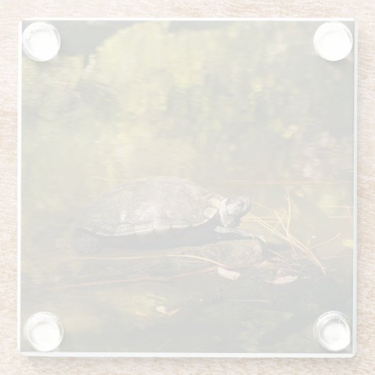 Untersetzer aus Glas - Schildkröte im Teich (Rückseite)