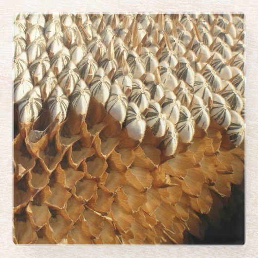 Untersetzer aus Glas - Sonnenblumensaat (Vorderseite)