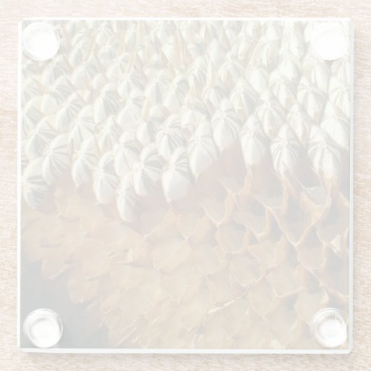 Untersetzer aus Glas - Sonnenblumensaat (Rückseite)