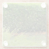 Untersetzer aus Glas - Spinnflechte mit Regentropf (Rückseite)