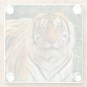 Untersetzer aus Glas/Tiger (Rückseite)
