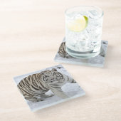 Untersetzer aus Glas/Weißtiger (Schrägansicht)