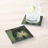 Untersetzer aus Glas/Wolf (Schrägansicht)