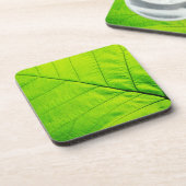 Untersetzer aus grünem Leaf (Linke Seite)