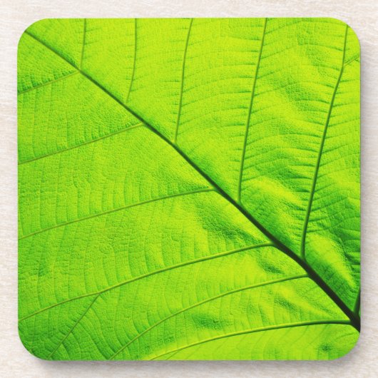Untersetzer aus grünem Leaf (Vorderseite)