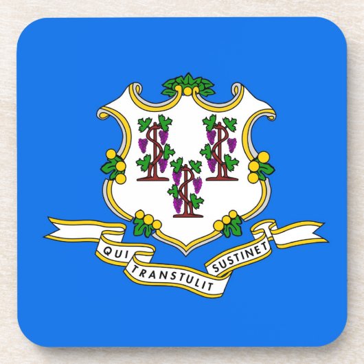 Untersetzer aus hartem Kunststoff mit der Flagge v (Vorderseite)