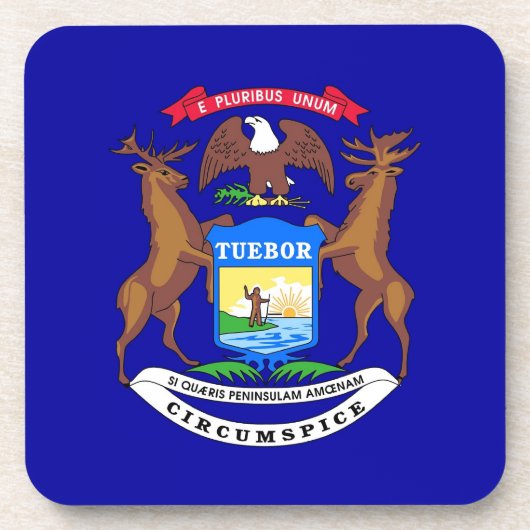 Untersetzer aus hartem Kunststoff mit Michigan-Fla (Vorderseite)