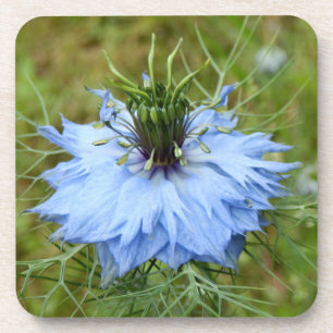 Untersetzer aus Hartkunststoff