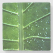 Untersetzer aus Leder und Wassertropfen (Vorderseite)