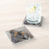 Untersetzer aus Mandrill und Young Glass (Schrägansicht)