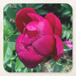 Untersetzer aus Peony Paper Drink