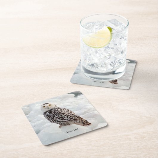 Untersetzer aus schneebedecktem Uhapier (Vor Ort)