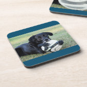 Untersetzer aus schwarzem Labor.  Set von sechs Ja (Linke Seite)