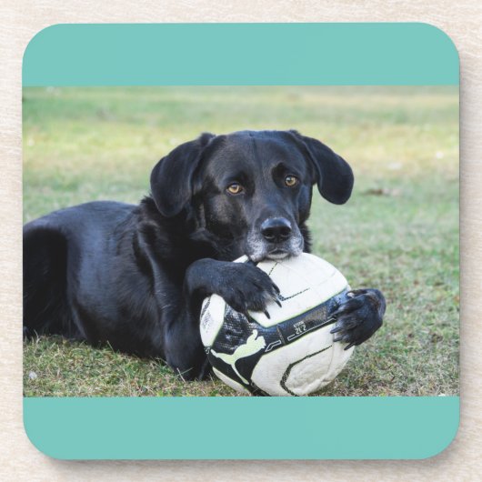 Untersetzer aus schwarzem Labor. Set von sechs Jah (Vorderseite)