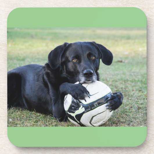 Untersetzer aus schwarzem Labor. Set von sechs Jah (Vorderseite)