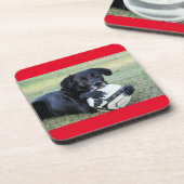 Untersetzer aus schwarzem Labor. Set von sechs Jah (Linke Seite)