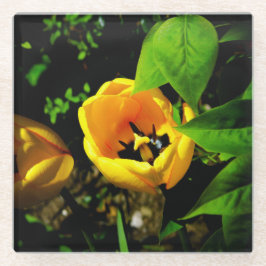 Untersetzer aus Tulip