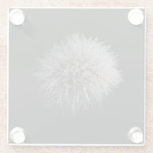 Untersetzer aus weißem Dandelon (Rückseite)