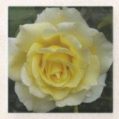 Untersetzer aus Weißrosenglas (Vorderseite)