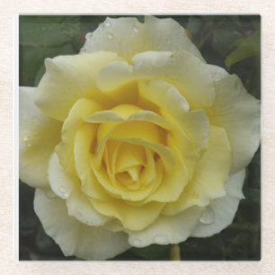 Untersetzer aus Weißrosenglas