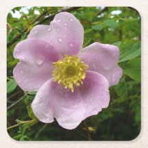Untersetzer aus Wild-Rose-Papier