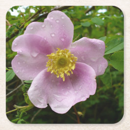 Untersetzer aus Wild-Rose-Papier