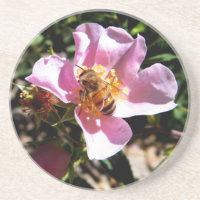 Untersetzer - Biene auf einer wilden Rose