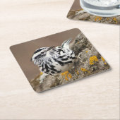 Untersetzer "Black and White Warbler Drink" (angewinkelt)