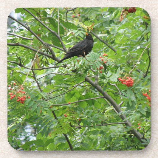 Untersetzer Blackbird und Berries Cork (Vorderseite)