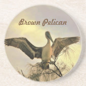 Untersetzer Brown Pelican (Vorne)