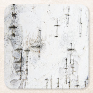 Untersetzer der Birkenrinde