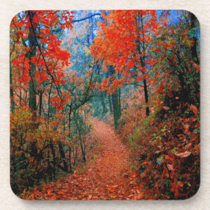 Untersetzer der farbigen Herbstflamme