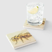 Untersetzer der Gelben Biene, realistisch Zeichnen (Seitenansicht)