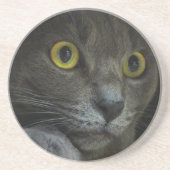 Untersetzer der Intensität (Vorne)