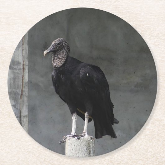 Untersetzer der Vulkaniumplatte (Vorderseite)