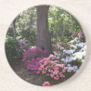 Untersetzer der Wälder und Blume