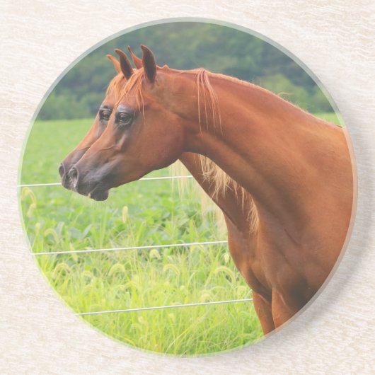 Untersetzer des Geisterbild-BOGO Colts (Vorne)