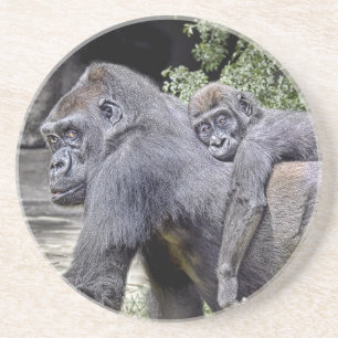 Untersetzer des Gorilla-Doppelpol#2