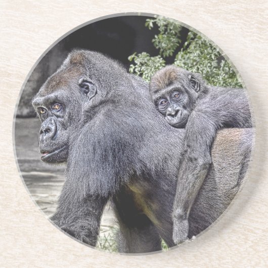 Untersetzer des Gorilla-Doppelpol#2 (Vorne)