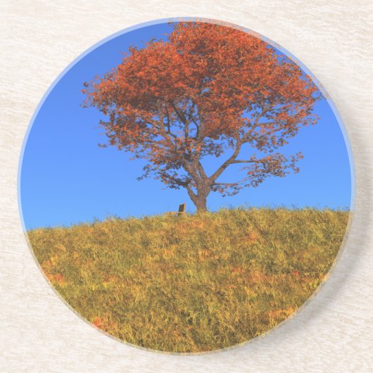 Untersetzer des Herbsttages löschen (Vorne)