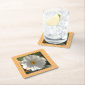 Untersetzer des Weißkosmos (Vor Ort)