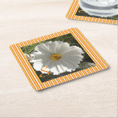 Untersetzer des Weißkosmos (angewinkelt)