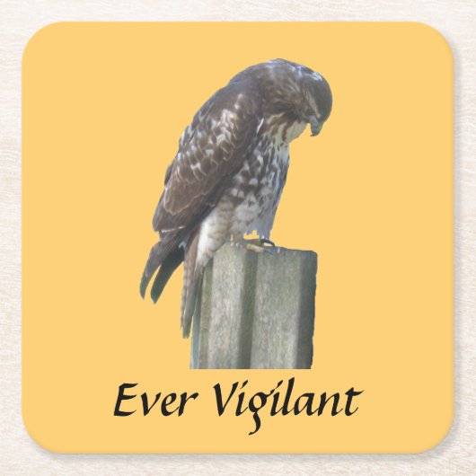 Untersetzer - Falken - Immer wachsam (Vorderseite)