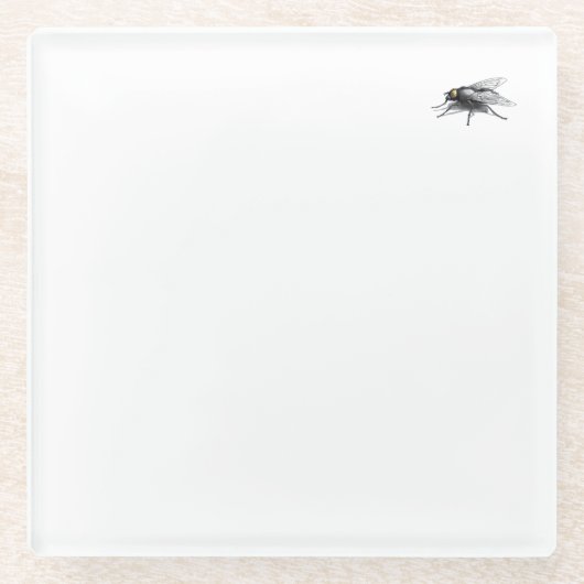 Untersetzer Fly Buddy (Vorderseite)