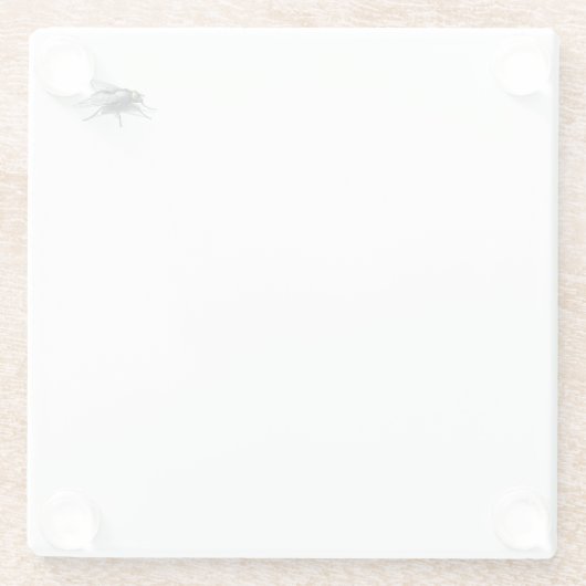 Untersetzer Fly Buddy (Rückseite)