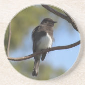 Untersetzer - Flycatcher (Vorne)
