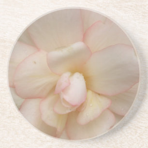 Untersetzer für Begonia-Blume